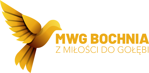 MWG